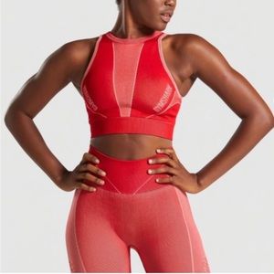 Gymshark Turbo Seamless Sports Bra Brick Red Crop Top